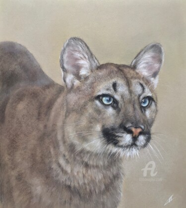 图画 标题为“Cougar” 由Irene_art, 原创艺术品, 粉彩