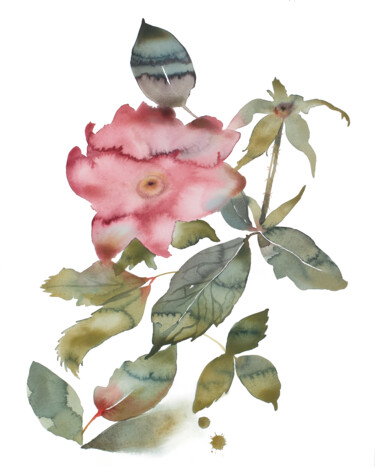 Rose Study No. 88 绘画 标题为“Rose Study No. 88” 由Elizabeth Becker, 原创艺术品, 水彩