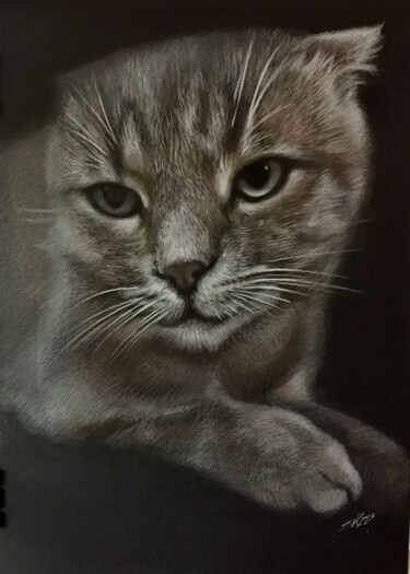 One Hundred Shades of Gray 제목이 "One Hundred Shades…"인 그림 Evgeniy Karpenko로, 원작, 장편