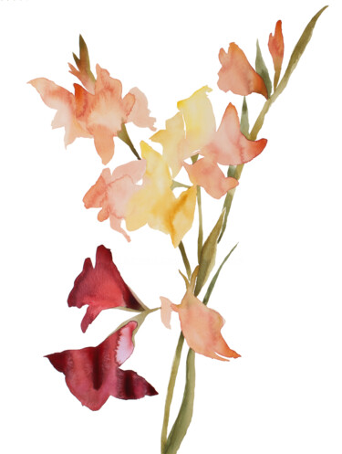 Gladiolus No. 1 绘画 标题为“Gladiolus No. 1” 由Elizabeth Becker, 原创艺术品, 水彩