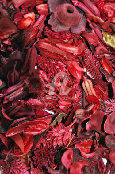 Φωτογραφία με τίτλο "Tapis de fleurs séc…" από Ernest Tosetti, Αυθεντικά έργα τέχνης, Ψηφιακή φωτογραφία