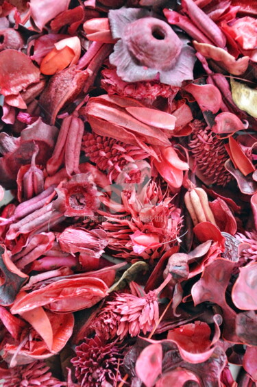 Φωτογραφία με τίτλο "Tapis de fleurs séc…" από Ernest Tosetti, Αυθεντικά έργα τέχνης, Ψηφιακή φωτογραφία