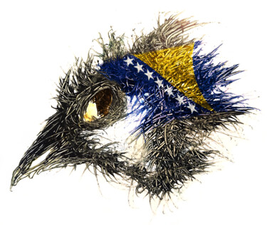 数字艺术 标题为“Pandemi Bird Bosnie…” 由Johann Sidlo, 原创艺术品, 数字油画