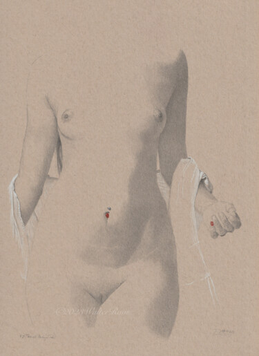 "Torso mit Piercing (0:26)" 图画 标题为“"Torso mit Piercing…” 由Walter Roos, 原创艺术品, 铅笔