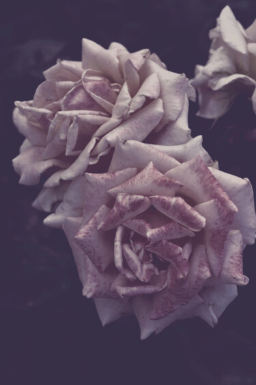 摄影 标题为“Flowerissimo_15053” 由Michael Vdovin, 原创艺术品, 数码摄影