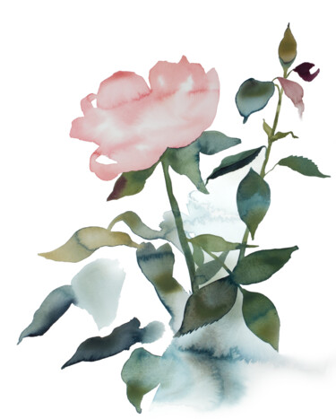 Rose Study No. 89 绘画 标题为“Rose Study No. 89” 由Elizabeth Becker, 原创艺术品, 水彩