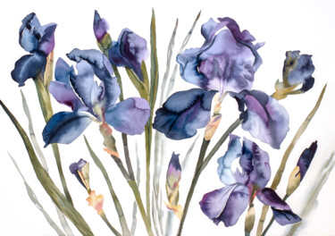 Irises 绘画 标题为“Irises” 由Elizabeth Becker, 原创艺术品, 水彩