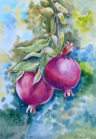 Painting titled "Pomegranate" by Maryna Voitenko, Original Artwork, Watercolor