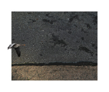 摄影 标题为“asphalt landscape 5…” 由Nicolas Lespagnol, 原创艺术品, 非操纵摄影 安装在铝上