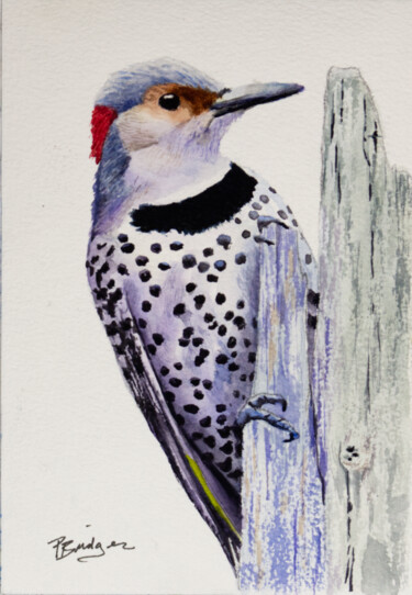 Northern Flicker Bird in Watercolor 5x7 Painting titled "Northern Flicker Bi…" by Paula Bridges, Original Artwork, Watercolor Mounted on Other rigid panel