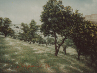 绘画 标题为“Olive grove. Jerusa…” 由Arkady Paransky, 原创艺术品, 粉彩