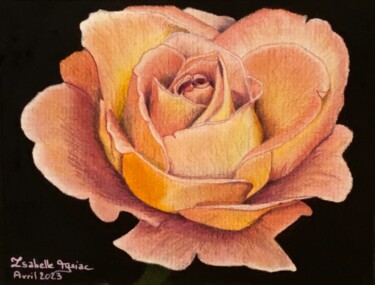 图画 标题为“Rose orangée” 由Isabelle Tysiac, 原创艺术品, 粉彩 安装在artwork_cat.上