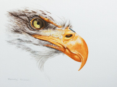 Tekening getiteld "Adler" door Lilla Varhelyi, Origineel Kunstwerk, Inkt