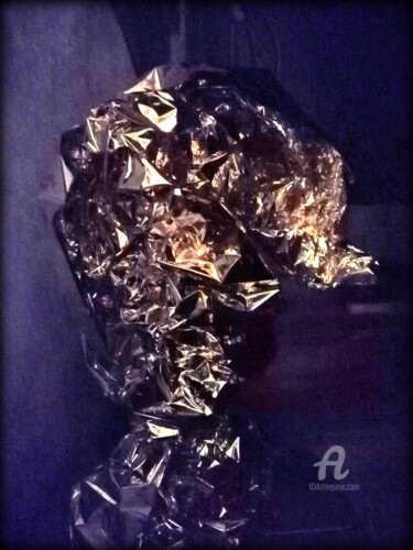Photography titled "Élisabeth/Aluminium…" by Jean Philippe Desmoulins, Original Artwork, Aluminium