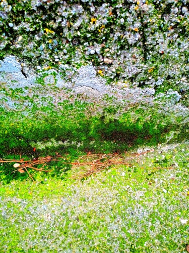 Fotografia intitolato "Si capisce che è un…" da Peppeluciani, Opera d'arte originale, Fotografia digitale