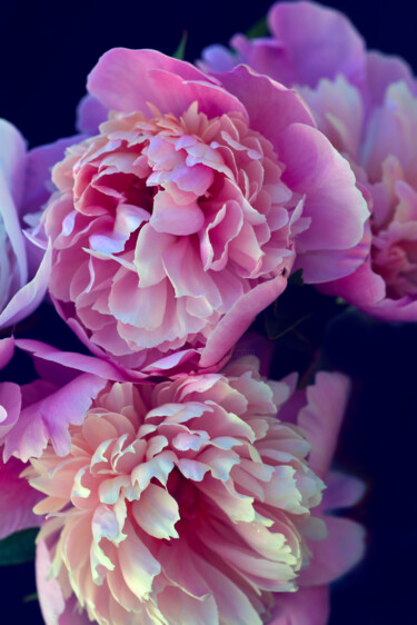 摄影 标题为“Flowerissimo_16886” 由Michael Vdovin, 原创艺术品, 数码摄影