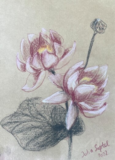 Lotus étude 图画 标题为“Lotus étude” 由Julia Suptel, 原创艺术品, 粉彩
