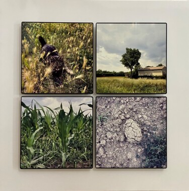Fotografia intitulada "Primavera - Insegue…" por Nicola Bertoglio, Obras de arte originais, Fotografia digital Montado em Ou…