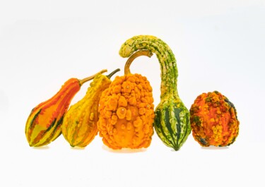 QUINTET DE COURGES POUR HALLOWEEN