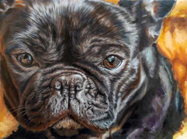 Portrait of a french bully Schilderij getiteld "Portrait of a frenc…" door Tibor Horvath, Origineel Kunstwerk, Olie