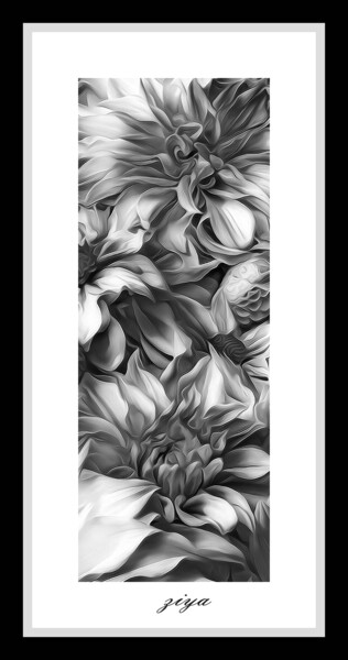 数字艺术 标题为“Aesthetics of black…” 由Ziya Tatar, 原创艺术品, 数字油画