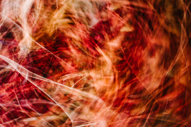 Photography titled "Vermelho" by Gustavo Gaiote, Original Artwork, Digital Photography