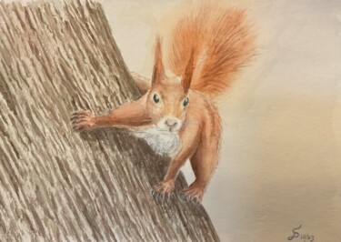 Malerei mit dem Titel "Eichhörnchen" von Stefan Dhein, Original-Kunstwerk, Aquarell