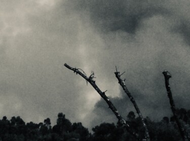 摄影 标题为“Cloud of smoke over…” 由Fatima Fernandes, 原创艺术品, 数码摄影
