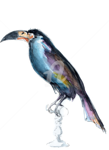 Dessin intitulée "Toucan Montagnard" par Mgr, Œuvre d'art originale, Encre