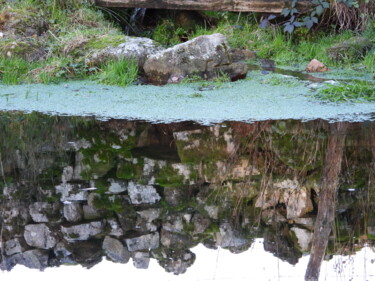 Reflet dans l'eau Photographie intitulée "Reflet dans l'eau" par Maga Créations, Œuvre d'art originale, Photographie non manipulée