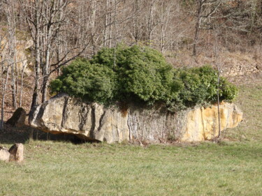 「Le cailloux frisé」というタイトルの写真撮影 Maga Créationsによって, オリジナルのアートワーク, 操作されていない写真