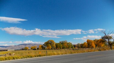 Turning Leaves in the Washoe Valley Fotografia intitolato "Turning Leaves in t…" da Troy Wilson-Ripsom, Opera d'arte originale, Fotografia digitale