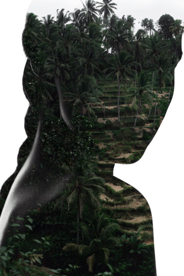 摄影 标题为“Tropical Mask” 由Ivan Cheremisin, 原创艺术品, 数码摄影