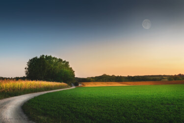 Moon in the sunset Photography titled "Moon in the sunset" by Dejan Travica, Original Artwork, Digital Photography
