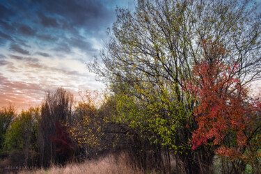 Fotografie mit dem Titel "To meet the autumn" von Dejan Travica, Original-Kunstwerk, Digitale Fotografie
