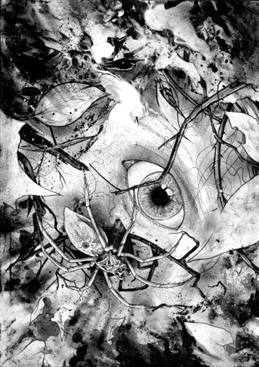 Dessin intitulée "Araignée" par Léo Saint-Arroman, Œuvre d'art originale, Encre