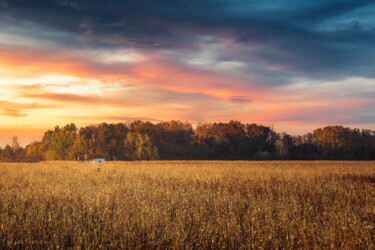 Small old hut in the middle of corn field at sunset Photography titled "Small old hut in th…" by Dejan Travica, Original Artwork, Digital Photography