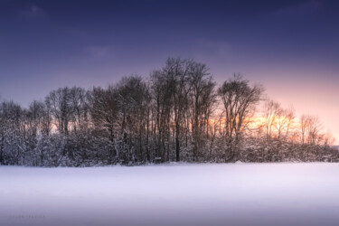Grove in a field covered with snow Fotografie getiteld "Grove in a field co…" door Dejan Travica, Origineel Kunstwerk, Digitale fotografie