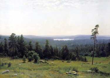Les zones boisées Peinture intitulée "Les zones boisées" par Ivan Chichkine, Œuvre d'art originale, Huile