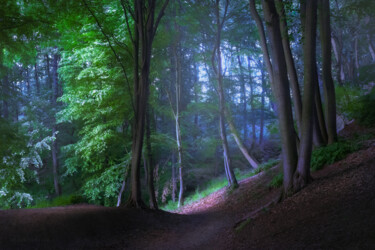 The road through the mystic forest Фотография под названием "The road through th…" - Dejan Travica, Подлинное произведение искусства, Цифровая фотография