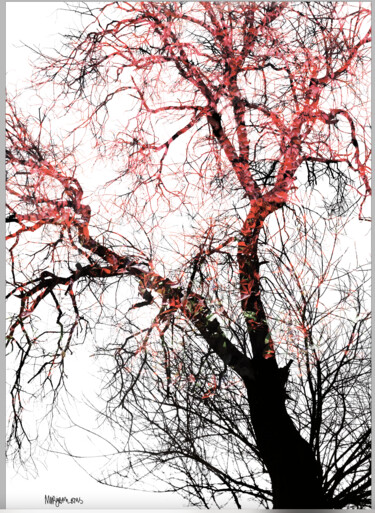 数字艺术 标题为“Branch Out 2” 由John Calder Gunn, 原创艺术品, 数字拼贴