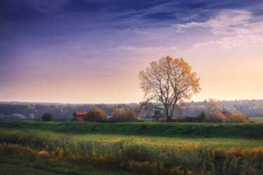 Φωτογραφία με τίτλο "Small farm in the r…" από Dejan Travica, Αυθεντικά έργα τέχνης, Ψηφιακή φωτογραφία