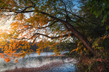 Here comes the autumn on the small lake Photography titled "Here comes the autu…" by Dejan Travica, Original Artwork, Digital Photography
