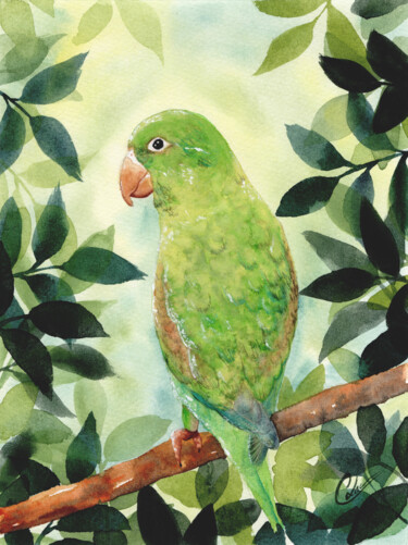Peinture intitulée "Perruche dans les f…" par Christelle Lachambre, Œuvre d'art originale, Aquarelle