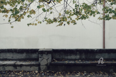 摄影 标题为“Waiting for a respo…” 由Alen Gurovic, 原创艺术品, 非操纵摄影