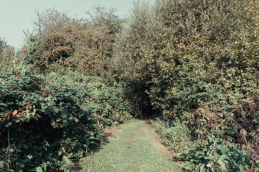 Photographie intitulée "From summer London…" par Juliana Vasquez, Œuvre d'art originale, Photographie numérique