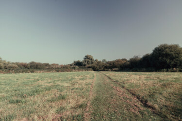 Photographie intitulée "From summer London…" par Juliana Vasquez, Œuvre d'art originale, Photographie numérique
