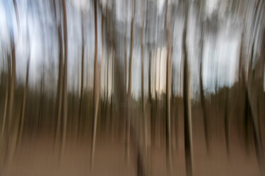 Photography titled "Bewegende bomen" by Bart Stoutjesdijk, Original Artwork, Digital Photography