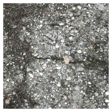Photography titled "UnderStand XIX   (M…" by Zheka Khalétsky, Original Artwork, Non Manipulated Photography