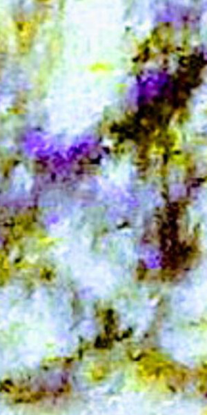 Photography titled "TheSilkRrevolutionI…" by Milao Chewithllipta, Original Artwork, Digital Photography